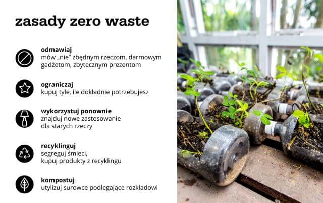zasady zero waste - infografika